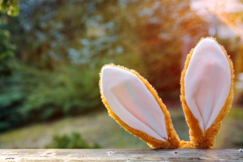 Birmingham Zoo Egg Hunt